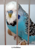 2010 009.png